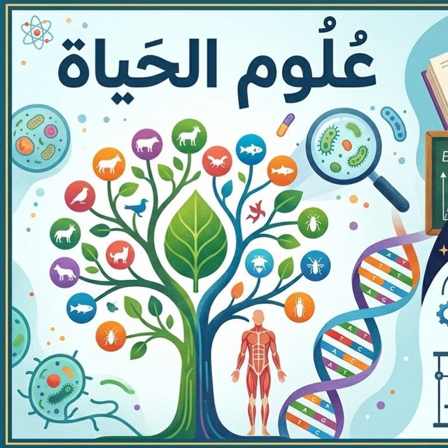 رحاب محمد