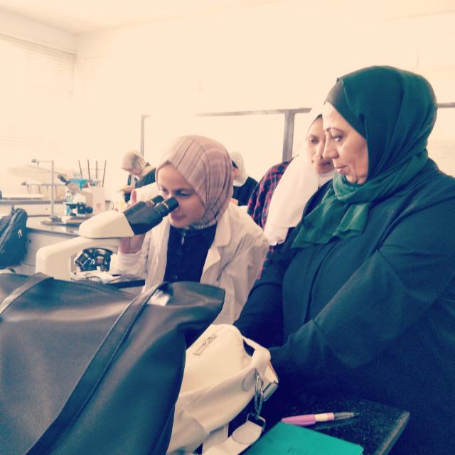 ميسون ابراهيم محمد